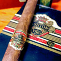 Ashton VSG